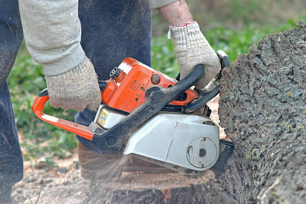 Landscape Design and Installation in Icard, NC